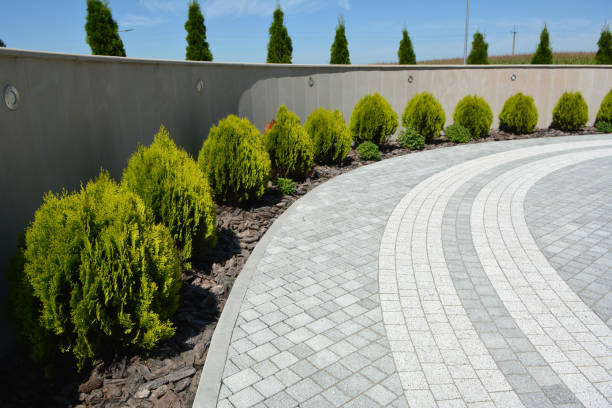 Best Commercial Driveway Pavers  in Santa Ana, CA